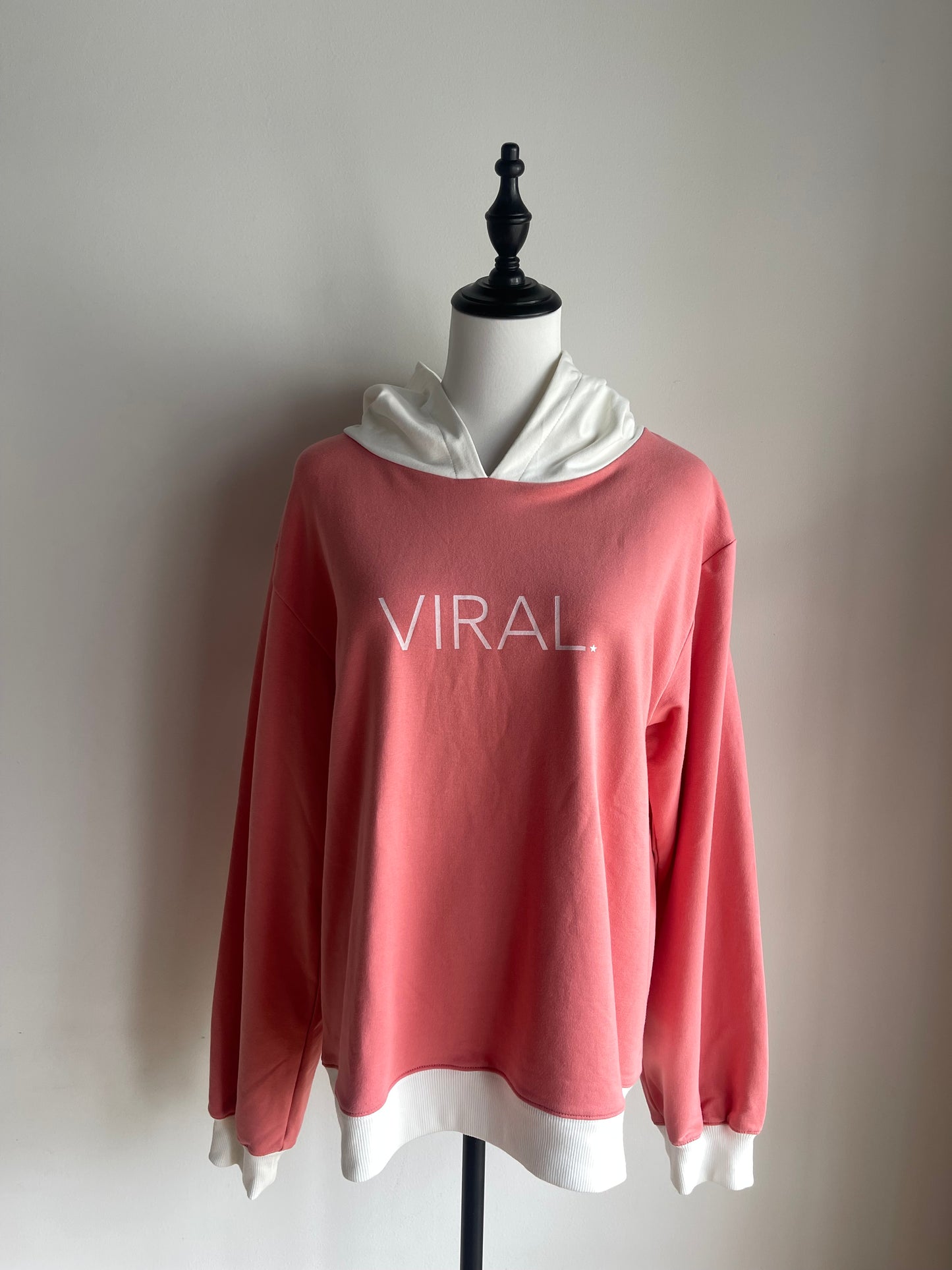 【 VIRAL. 】VIRAL star hoodie